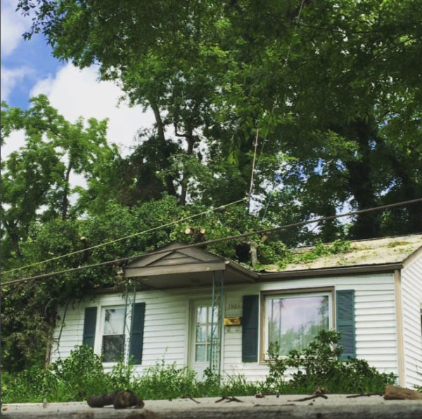 Emergency tree removal after storm damage