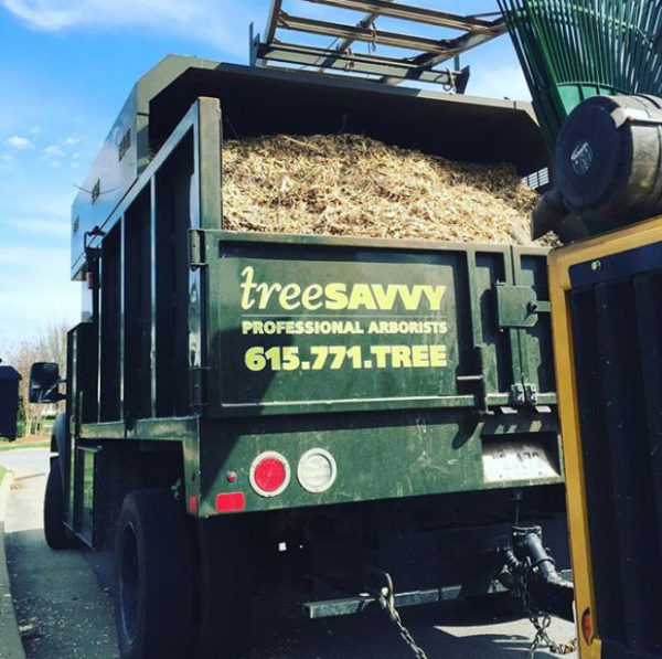 TreeSAVVY Professional Arborists service vehicle