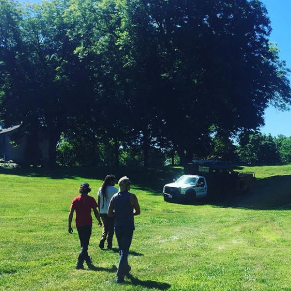 Tree planting and preservation service